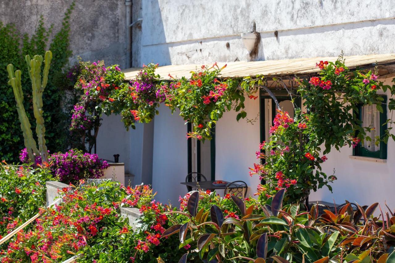 Il Pettirosso In Positano别墅 外观 照片