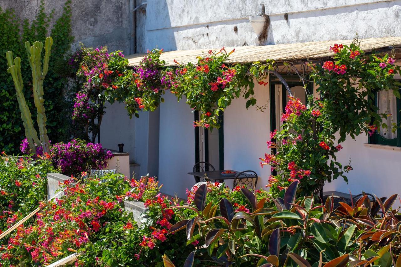 Il Pettirosso In Positano别墅 外观 照片