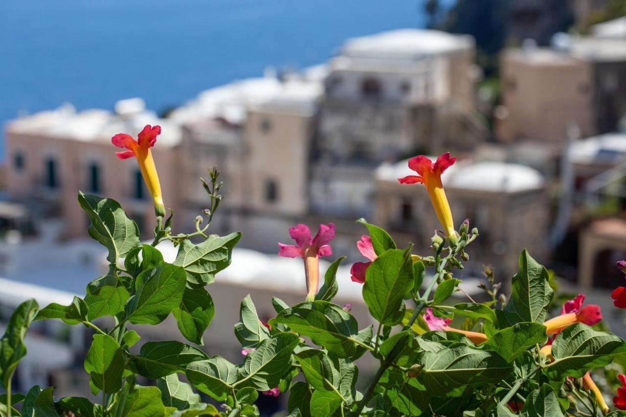 Il Pettirosso In Positano别墅 外观 照片